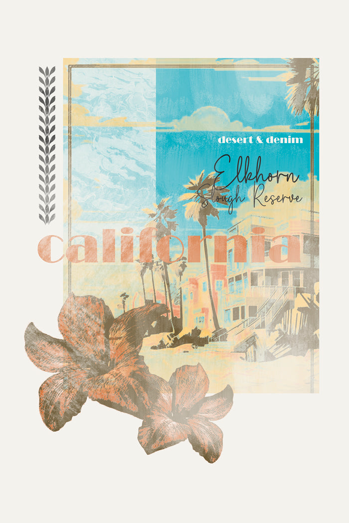 CAMISETA MASCILINA CALIFORNIA